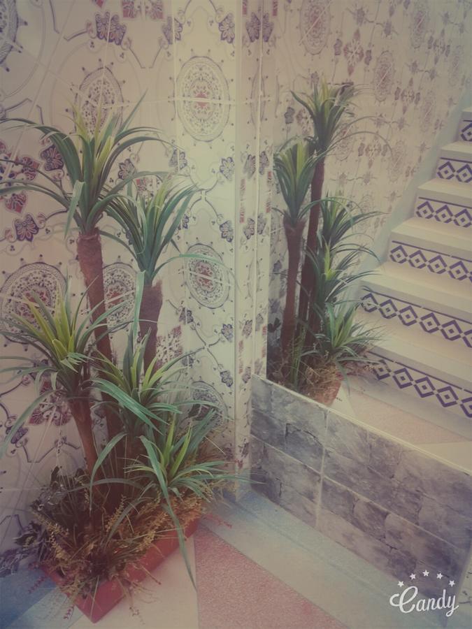 מלון Oulad Barrehil La Paillade מראה חיצוני תמונה